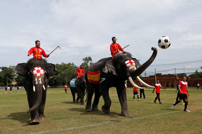 Elephants play soccer during an anti-gambling campaign for school children in Ayutthaya