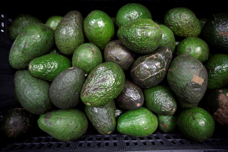 Avocados are on display for sale at the wholesale market