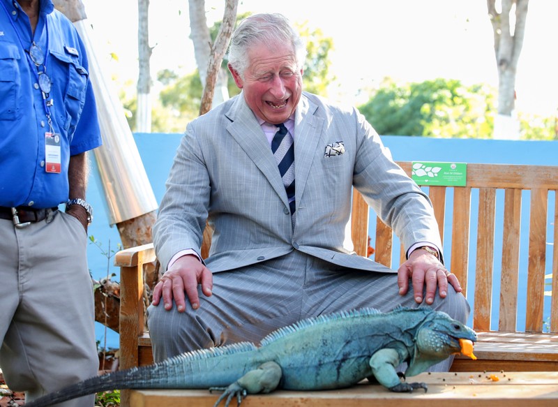 FILE PHOTO: Britain's Prince Charles laughs with Peter, a blue iguana, at the Queen Elizabeth II Royal Botanic Park in Grand Cayman, Cayman Islands
