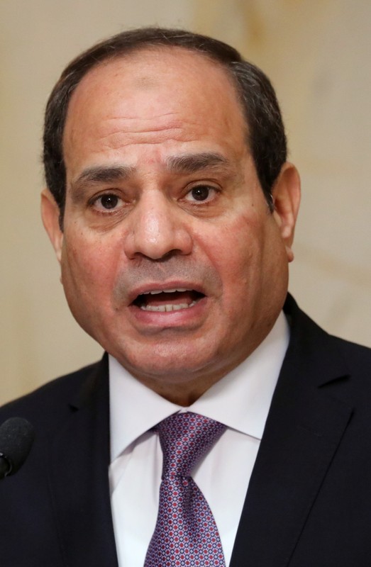Egypt President Abdel Fattah al-Sisi is seen during a news conference at the Presidential Palace in Abidjan