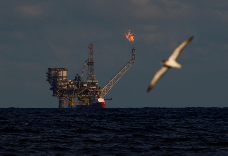 FILE PHOTO: A seagull flies in front of an oil platform in the Bouri Oilfield some 70 nautical miles north of the coast of Libya
