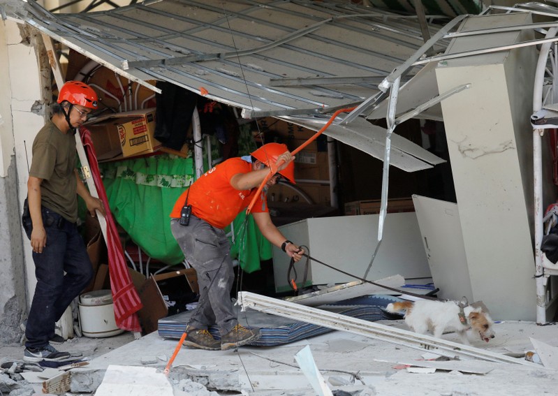 A rescuer assists a search dog as they try to reach survivors at a collapsed four-storey building in Porac town
