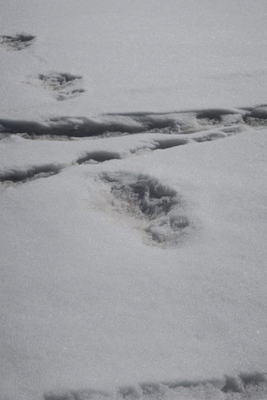 Footprints are seen in the snow near Makalu Base Camp in Nepal