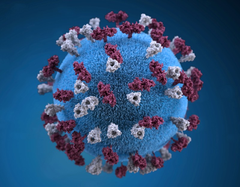 An illustration provides a 3D graphical representation of a spherical-shaped, measles virus particle studded with glycoprotein tubercles in this handout image