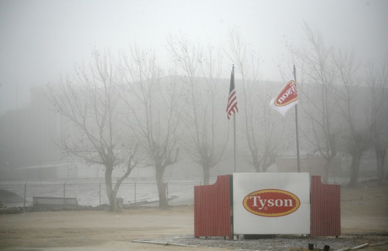 FILE PHOTO: Fog shrouds the Tyson slaughterhouse in Burbank, Washington