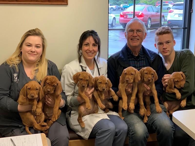 Destiny Brown Dr. Katie Buss and Kingsley family pose with puppies at the Kings Veterinary Hospital in Loveland Ohio