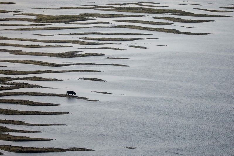 Depleted Western Balkan rivers hit power generation, up prices