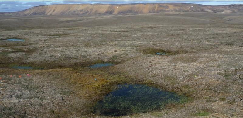 General view of a landscape of partially thawed Arctic permafrost near Mould Bay