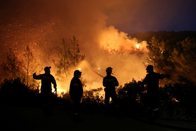 Firefighters try to extinguish a wildfire burning near the village of Makrimalli on the island of Evia