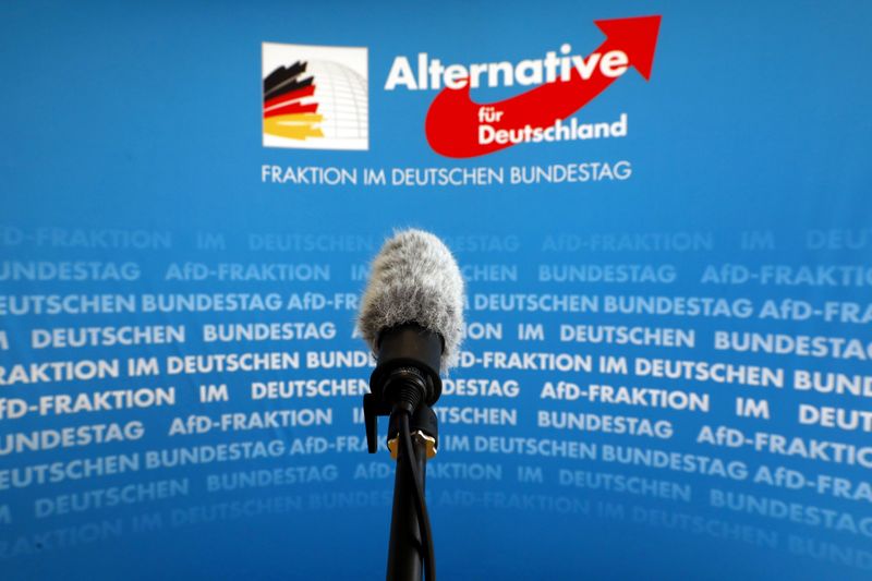 FILE PHOTO: A microphone stands in front of an AfD logo on the press wall of the German Bundestag in Berlin
