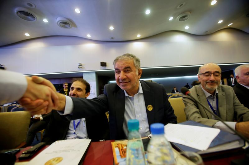 FILE PHOTO: Iran's OPEC governor Hossein Kazempour Ardebili is greeted at the OPEC Ministerial Monitoring Committee in Algiers