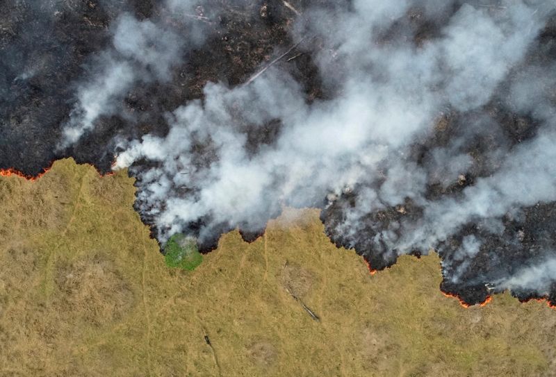 FILE PHOTO: Fires in the Amazon: a barrier to climate change up in smoke