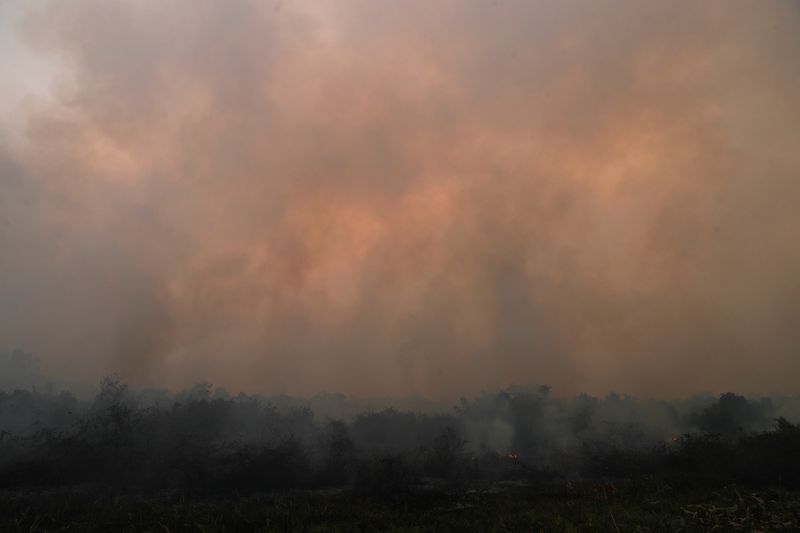 Smoke rises from a fire in The Pantanal, the world's largest wetland, in Pocone