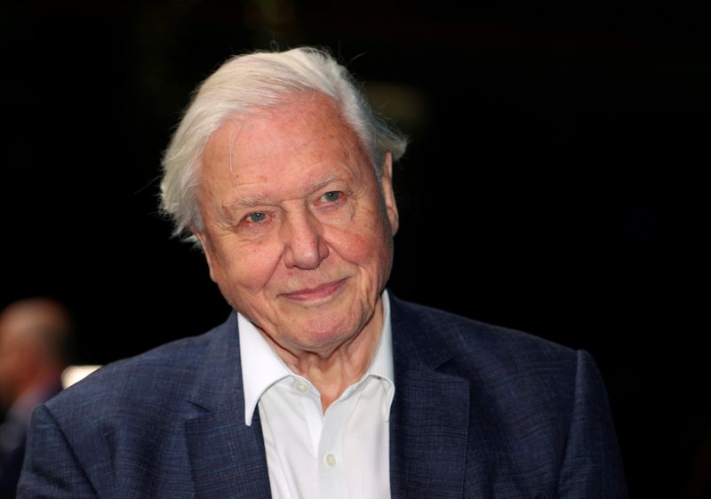 FILE PHOTO: FILE PHOTO: Broadcaster and film maker David Attenborough attends the premiere of Blue Planet II at the British Film Institute in London