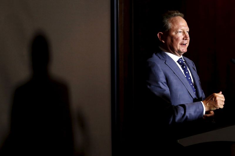 FILE PHOTO: Andrew Forrest, chairman of Fortescue Metals Group, speaks during a media conference in Sydney