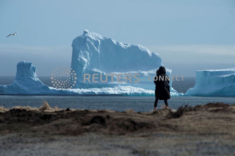 Resident views the first iceberg of the season as it passes the South Shore of Newfoundland