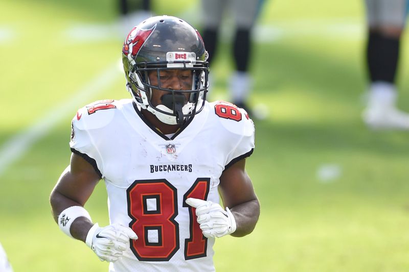 FILE PHOTO: NFL: Tampa Bay Buccaneers at Carolina Panthers