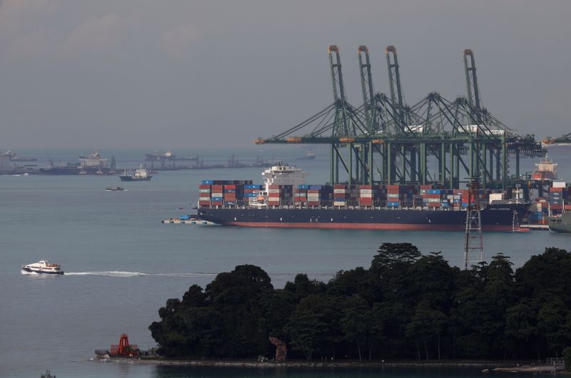 FILE PHOTO: A container ship docks at Pasir Panjang terminal in Singapore