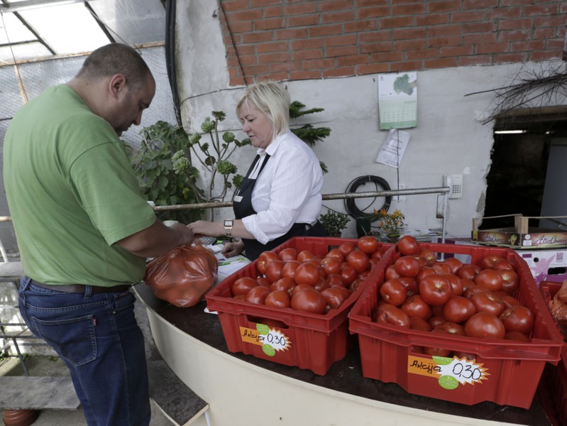 People shop for tomatoes in the family owned farm