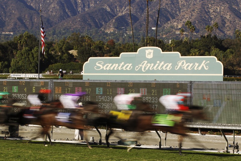 FILE PHOTO: Horses race during the running of the Breeders' Cup Turf thoroughbred horse race in Arcadia