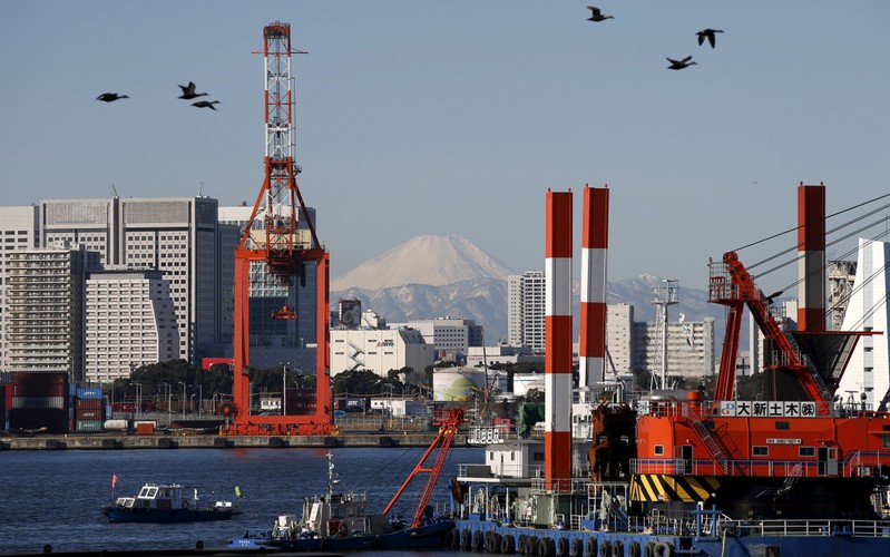 FILE PHOTO - Birds fly in front of Mt. Fuji and a crane at a port in Tokyo
