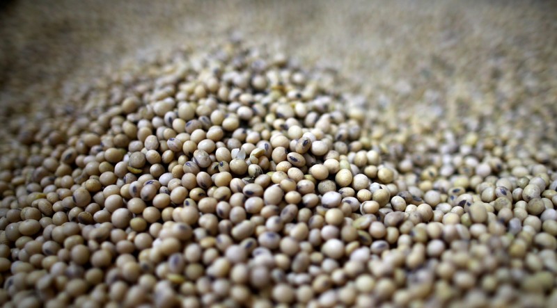 FILE PHOTO: Soy beans are seen at storage plant in Carlos Casares