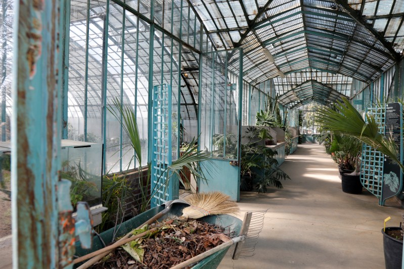 Inside view of a greenhouse at the botanical garden