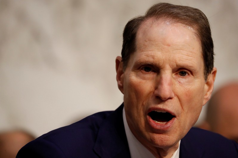 FILE PHOTO: Sen. Ron Wyden (D-OR) speaks during a markup on the