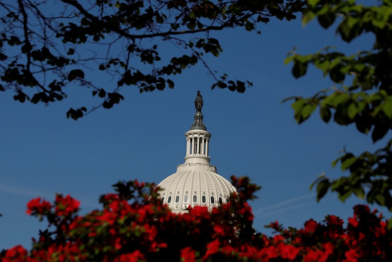The U.S. Capitol building is seen through flowers in Washington