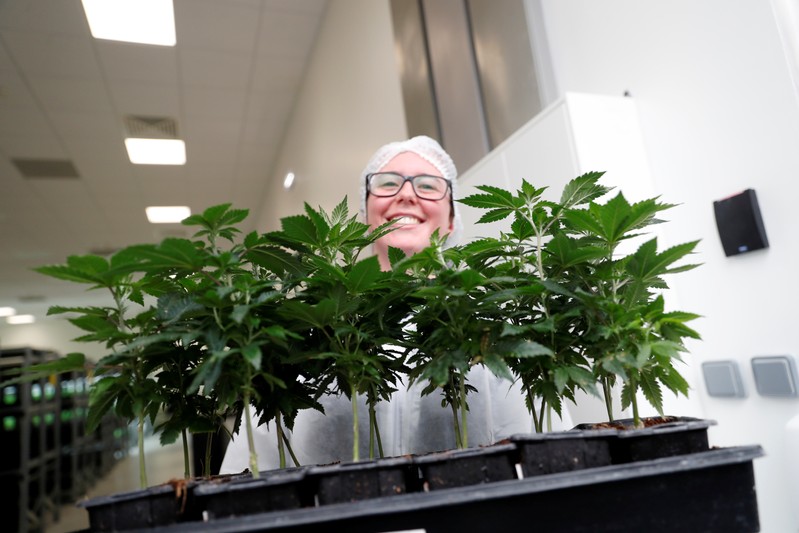 Worker smiles as she shows cannabis plants at the Tilray factory in Cantanhede