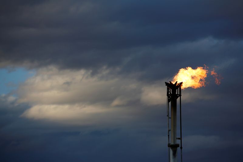 FILE PHOTO: A flare burns off excess gas from a gas plant in the Permian Basin in Loving County
